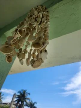 Seashell decoration on the ceiling of a house. Stock Photos