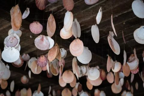 Seashell decoration - shell pattern hanging on ceiling - travel concept Stock Photos