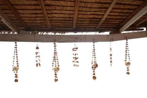 Seashell decoration string on white background Stock Photos