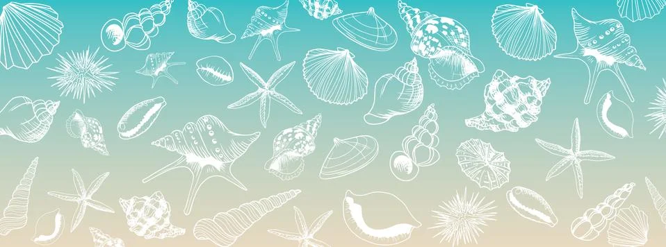 Seashell doodles large banner Stock Illustration