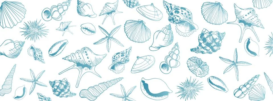 Seashell doodles large banner Stock Illustration