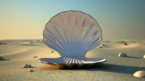 Seashell - Empty Stock Footage 828502