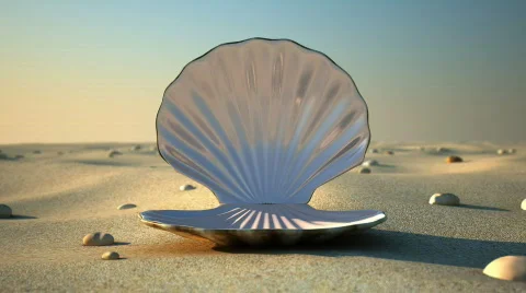 Seashell - Empty Stock Footage 828507