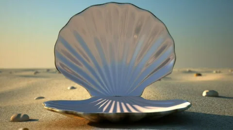 Seashell - Empty Stock Footage 828518