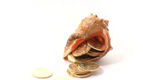Seashell filled with coins. Coins in a shell. Stop motion. Stock Footage 68388076