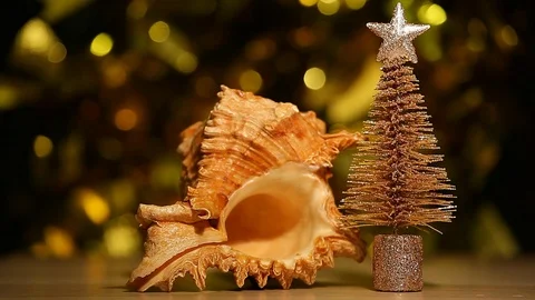 Seashell fir tree table gold bokeh hd footage Stock Footage 120347808