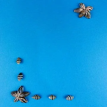 Seashell Floral Patterns in Corners on Blue Background. Stock Photos