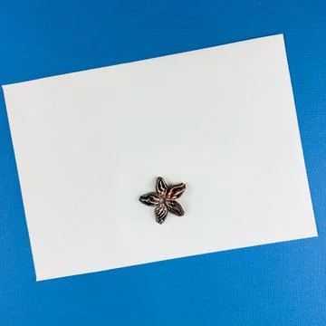 Seashell Flower Decoration on White Envelope Over Blue Texture. Stock Photos