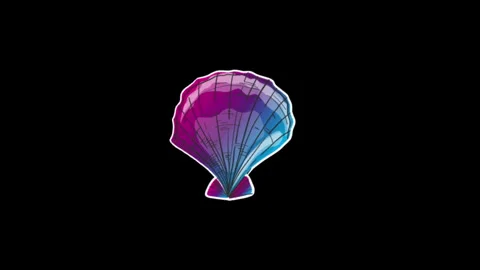 Seashell Stock Footage 242339351