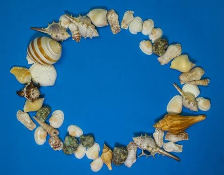 Seashell frame on a blue background, with free space for your text Stock Photos