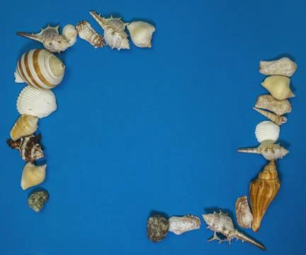 Seashell frame on a blue background, with free space for your text Stock Photos