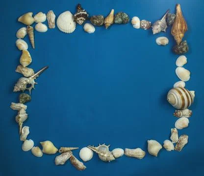 Seashell frame on a blue background, with free space for your text 库存照片