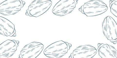 Seashell frame illustration with blue line art style drawing on a white Stock Illustration
