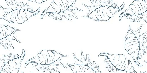 Seashell frame illustration with blue line art style drawing forming a Stock Illustration