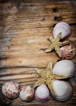 Seashell frame Stock-Fotos