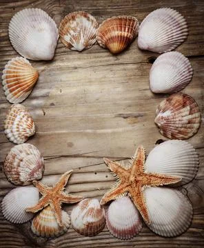 Seashell Frame Stock Photos