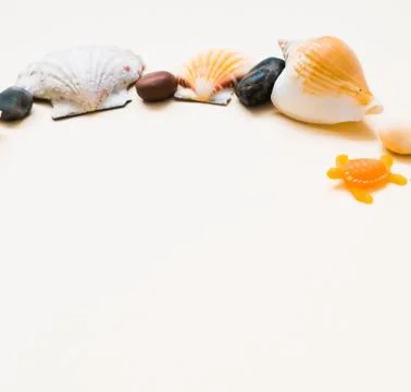 Seashell frame with place for text on a light background Stock Photos