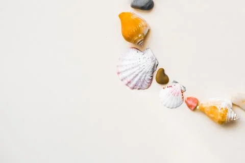 Seashell frame with place for text on a light background Stock Photos