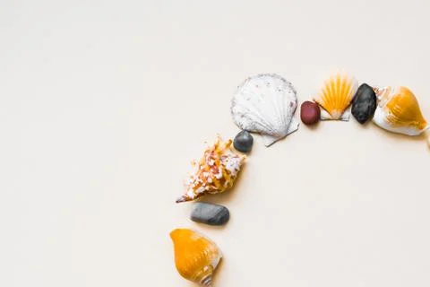 Seashell frame with place for text on a light background Stock Photos