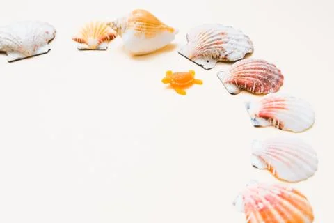 Seashell frame with place for text on a light background Stock Photos