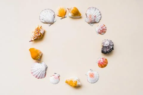 Seashell frame with place for text on a light background Stock Photos