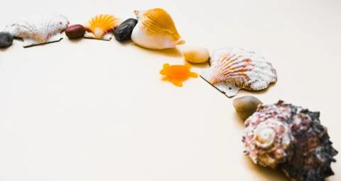 Seashell frame with place for text on a light background Stock Photos