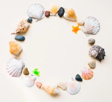 Seashell frame with place for text on a light background Stock Photos