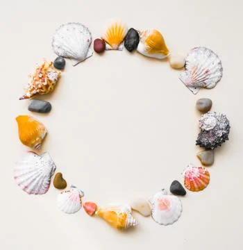 Seashell frame with place for text on a light background Stock-Fotos