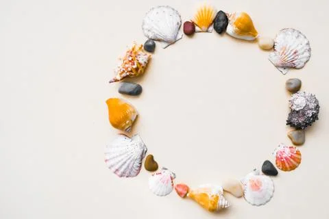 Seashell frame with place for text on a light background Stock Photos