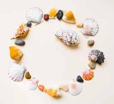 Seashell frame with place for text on a light background Stock Photos