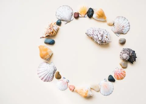 Seashell frame with place for text on a light background Stock Photos