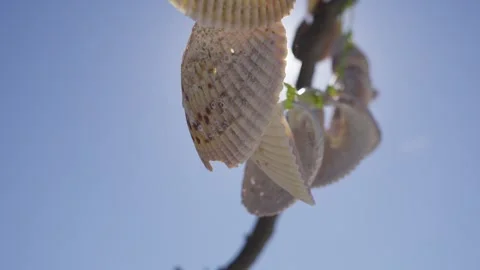 Seashell garland swaying under bright sunlight and blue sky Stock Footage 312615040
