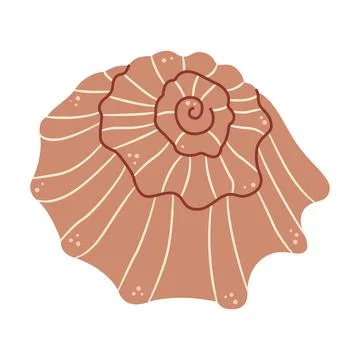 Seashell Hand drawn. Cartoon style flat illustration seashell isolated on white Stock Illustration
