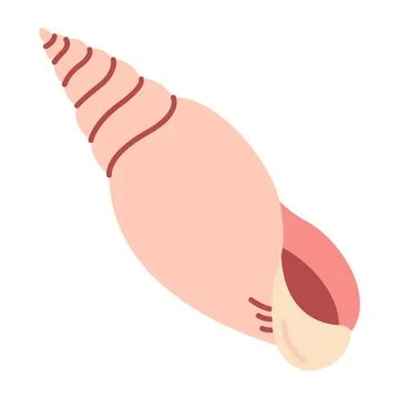 Seashell Hand drawn. Cartoon style flat illustration seashell isolated on white Stock Illustration