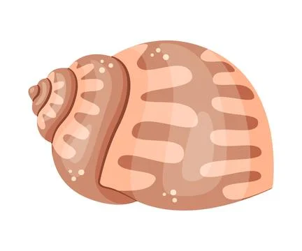 Seashell Hand drawn. Cartoon style flat illustration seashell isolated icon Stock Illustration