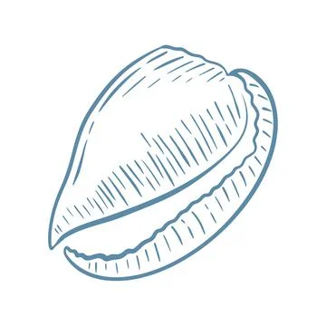 Seashell hand drawn engraving vector illustration 库存插图