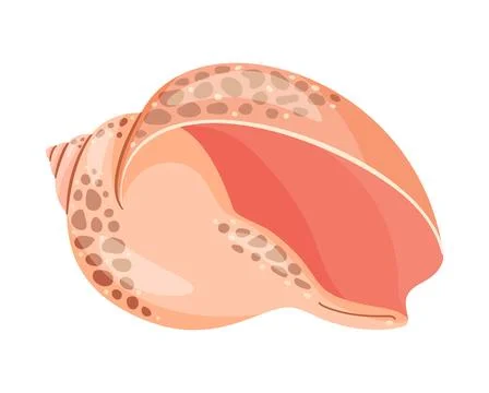 Seashell Hand drawn. Hand drawn trendy flat style isolated icon on a transparent 스톡 일러스트