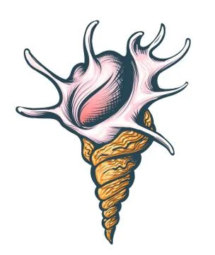 Seashell Hand Drawn Illustration Stock Illustration