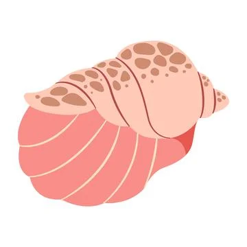 Seashell Hand drawn. Rapa Snail Cartoon style flat illustration seashell Stock Illustration