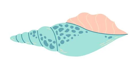 Seashell Hand drawn. Rapa Snail Cartoon style flat illustration seashell Stock Illustration