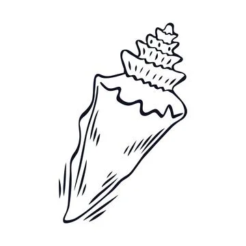 Seashell. Hand drawn seashell vector illustration 库存插图