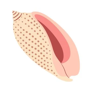 Seashell Hand drawn. Volute Cartoon style flat illustration seashell isolated on Stock Illustration