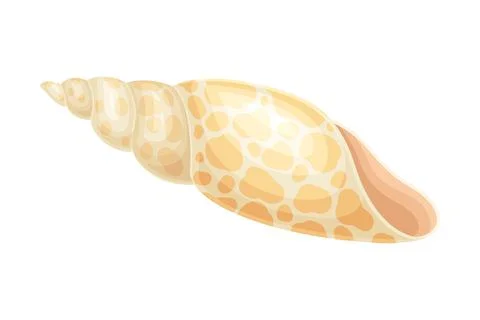 Seashell as Hard Marine Snail Shell Vector Illustration イラスト素材