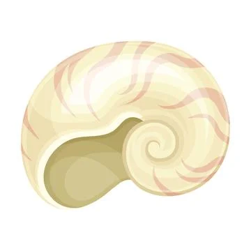 Seashell as Hard Marine Snail Shell Vector Illustration Stock Illustration