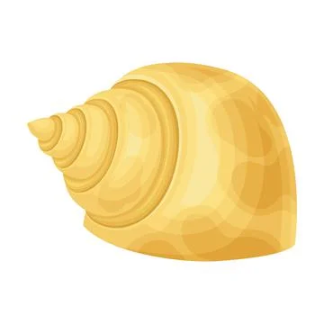 Seashell as Hard Marine Snail Shell Vector Illustration Stock Illustration