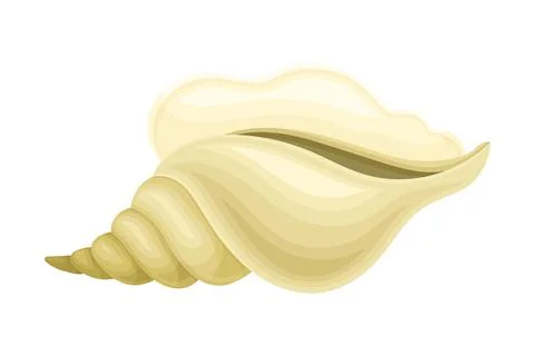Seashell as Hard Marine Snail Shell Vector Illustration Stock Illustration