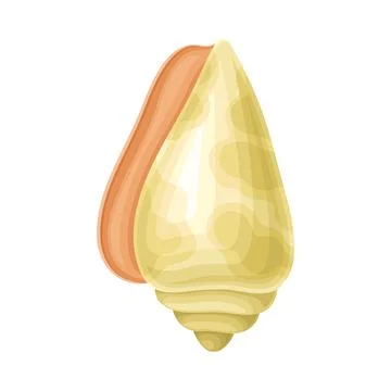 Seashell as Hard Marine Snail Shell Vector Illustration Illustrazione stock