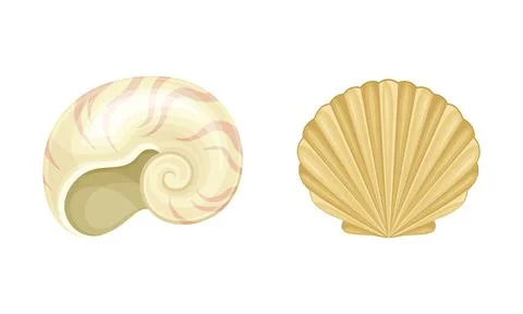 Seashell as Hard Marine Snail Shell Vector Set Stock Illustration