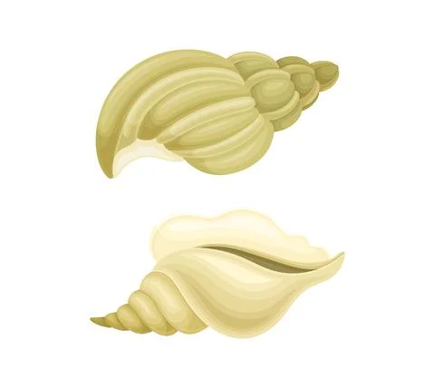 Seashell as Hard Marine Snail Shell Vector Set Stock Illustration