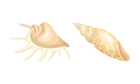 Seashell as Hard Marine Snail Shell Vector Set Illustrazione stock